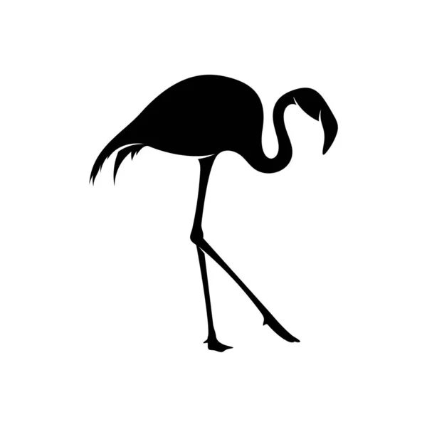 Flamingo design vector, Zwart silhouet van een flamingo vogel, staand op één been, geïsoleerd. — Stockvector