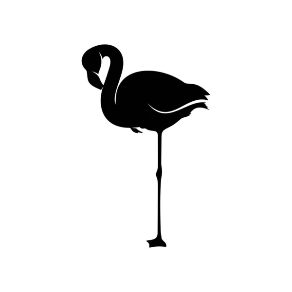 Flamingo tasarım vektörü, flamingo kuşunun siyah silueti, tek ayak üzerinde duruyor, izole edilmiş..