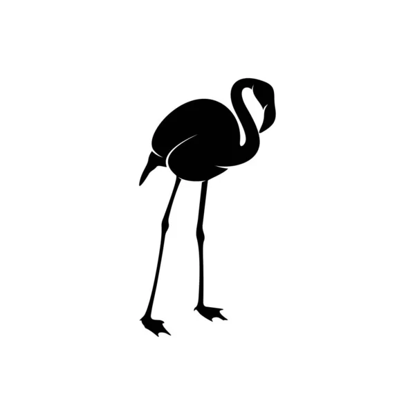 Flamingo design vector, Black silhouette of a flamingo bird, standing on one leg, isolated. — 스톡 벡터