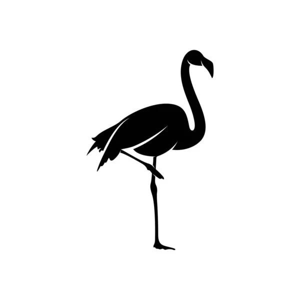 Flamingo tasarım vektörü, flamingo kuşunun siyah silueti, tek ayak üzerinde duruyor, izole edilmiş..
