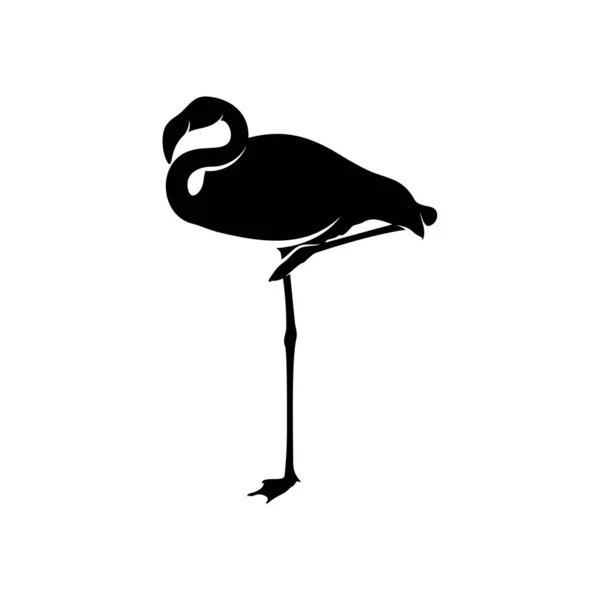 Vector de diseño flamenco, silueta negra de un pájaro flamenco, de pie sobre una pierna, aislado . — Vector de stock
