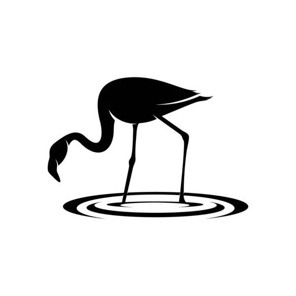 Flamingo vetor de design, silhueta preta de um pássaro flamingo, em pé sobre uma perna, isolado . —  Vetores de Stock