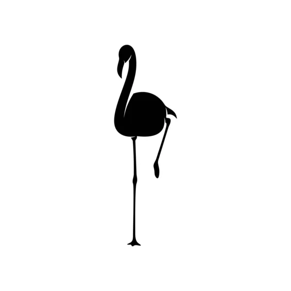 Вектор дизайну фламінго, чорний силует птаха фламінго, стоїть на одній нозі, ізольований.. — стоковий вектор