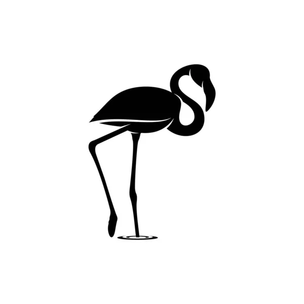 フラミンゴのデザインベクトル、フラミンゴの黒いシルエット、片方の脚に立つ、孤立した. — ストックベクタ