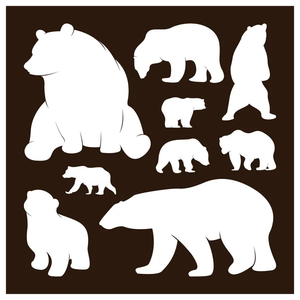 Sziluett Medvék gyűjteménye. Vektor logó. Vadvilág. Vadmedve. Vektorillusztráció. — Stock Vector