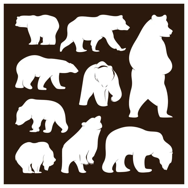 Sziluett Medvék gyűjteménye. Vektor logó. Vadvilág. Vadmedve. Vektorillusztráció. — Stock Vector