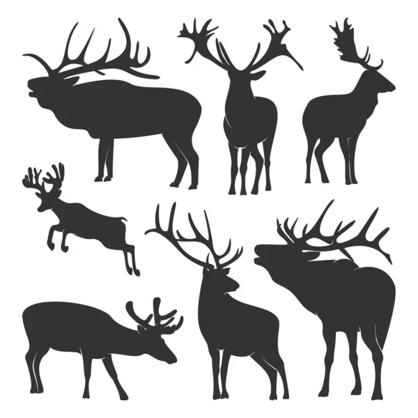 Collection of silhouette Deers. Vector logo. Wildlife. Wild Deer. Vector illustration. — Stock Vector