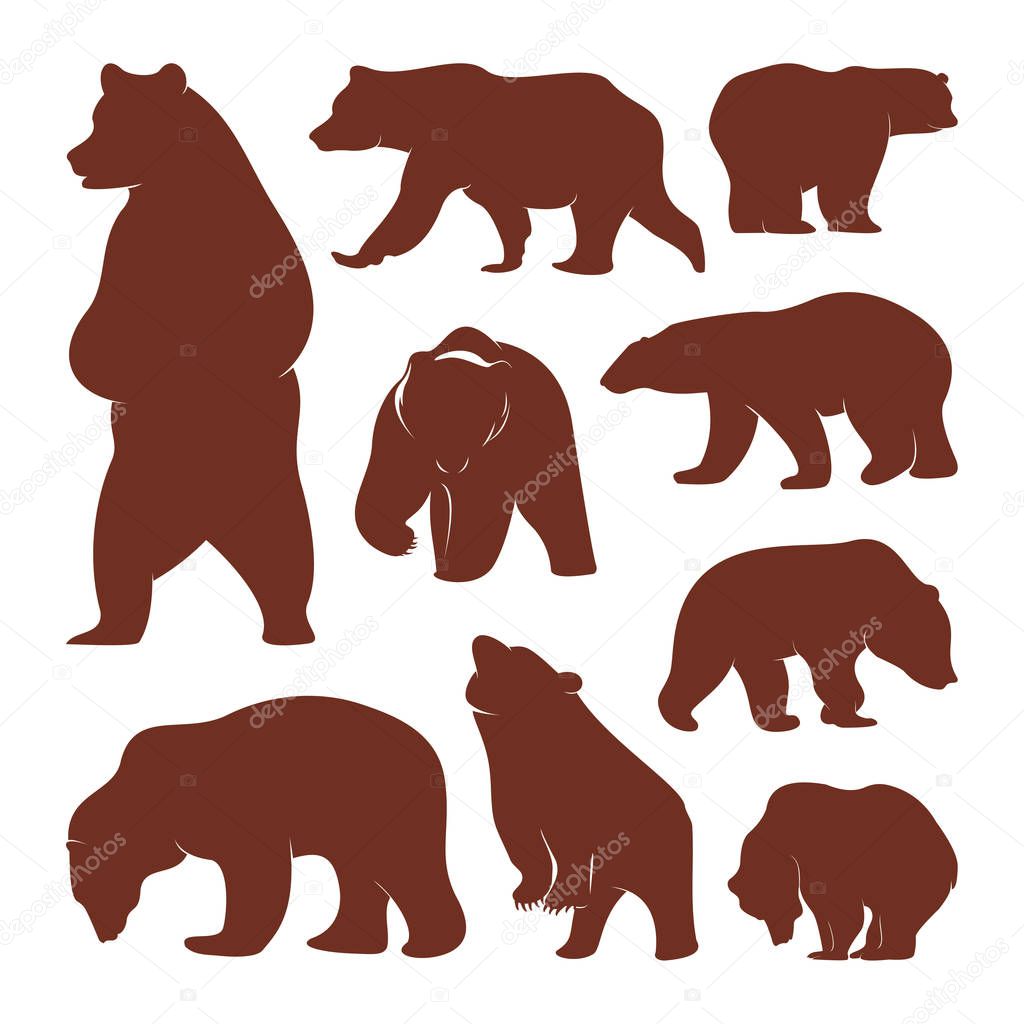 Collection of silhouette Bears. Vector logo. Wildlife. Wild Bear. Vector illustration.