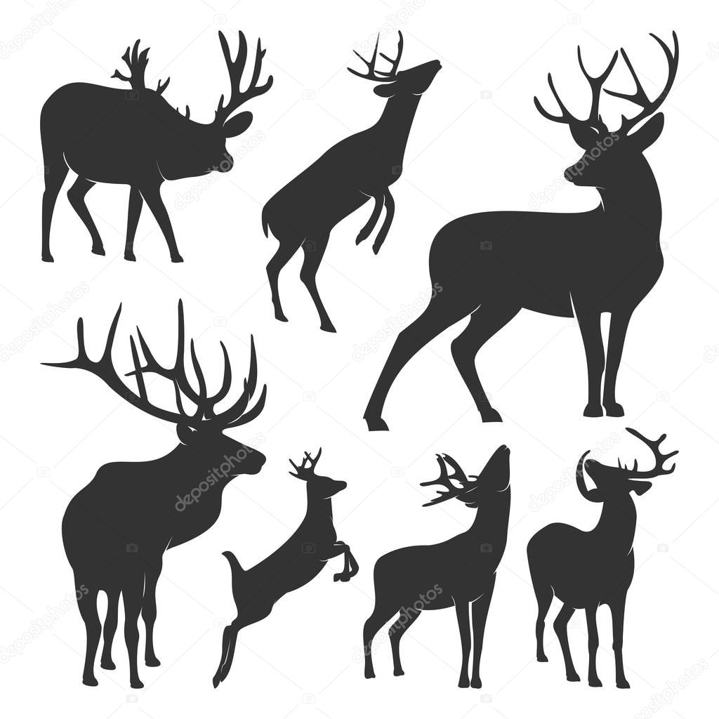Collection of silhouette Deers. Vector logo. Wildlife. Wild Deer. Vector illustration.