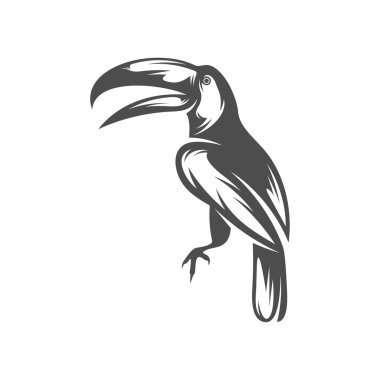 Papağan logosu tasarım vektör çizimi, papağan logosu şablonu