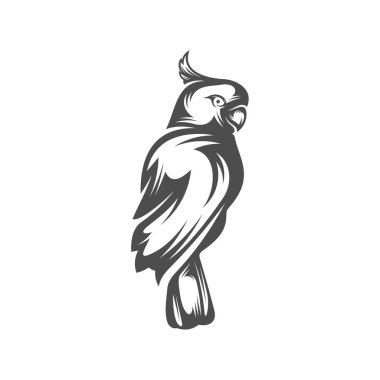 Papağan logosu tasarım vektör çizimi, papağan logosu şablonu