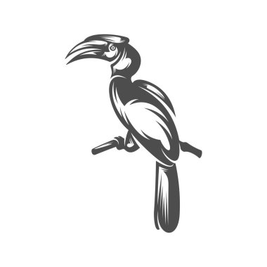 Papağan logosu tasarım vektör çizimi, papağan logosu şablonu