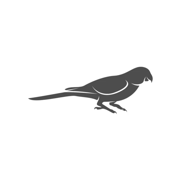 Vektorová ilustrace ikon loga papouška, šablona loga papouška — Stockový vektor