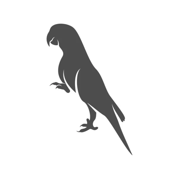 Parrot logo icon design vector illustration, Parrot logo template — 스톡 벡터