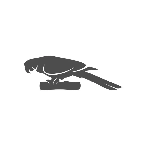 Εικονογράφηση φορέα σχεδιασμού εικονιδίου λογότυπου παπαγάλου, πρότυπο λογότυπου παπαγάλου — Διανυσματικό Αρχείο