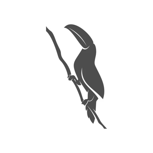 Papağan logosu tasarım vektör çizimi, papağan logosu şablonu — Stok Vektör