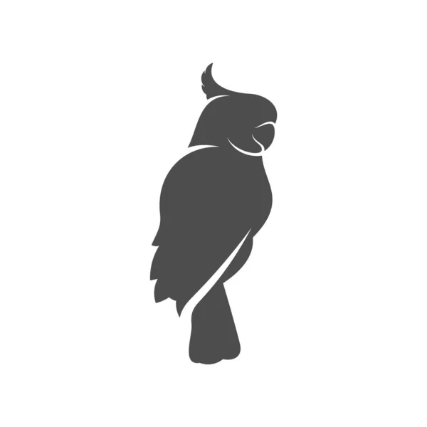 Parrot logo icon design vector illustration, Parrot logo template — 스톡 벡터