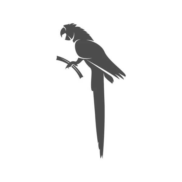 Ilustração do vetor do projeto do ícone do logotipo do papagaio, modelo do logotipo do papagaio —  Vetores de Stock