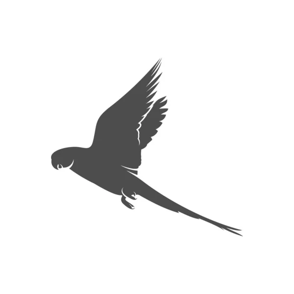 Papağan logosu tasarım vektör çizimi, papağan logosu şablonu — Stok Vektör