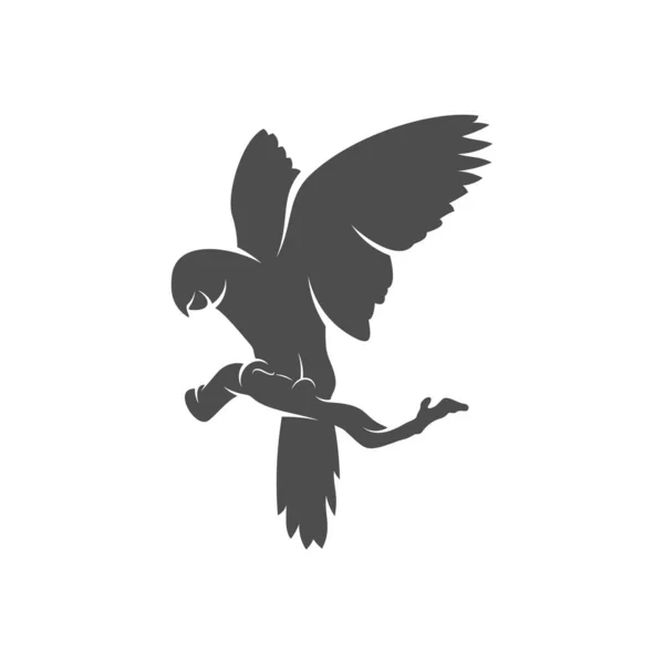 Ilustración del vector de diseño del icono del logotipo del loro, plantilla de logotipo del loro — Vector de stock