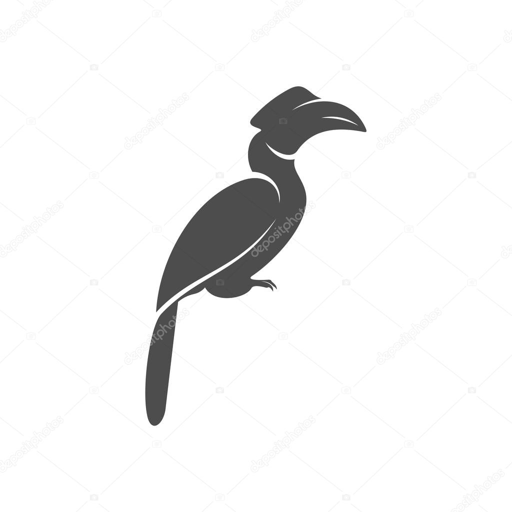 Parrot logo icon design vector illustration, Parrot logo template