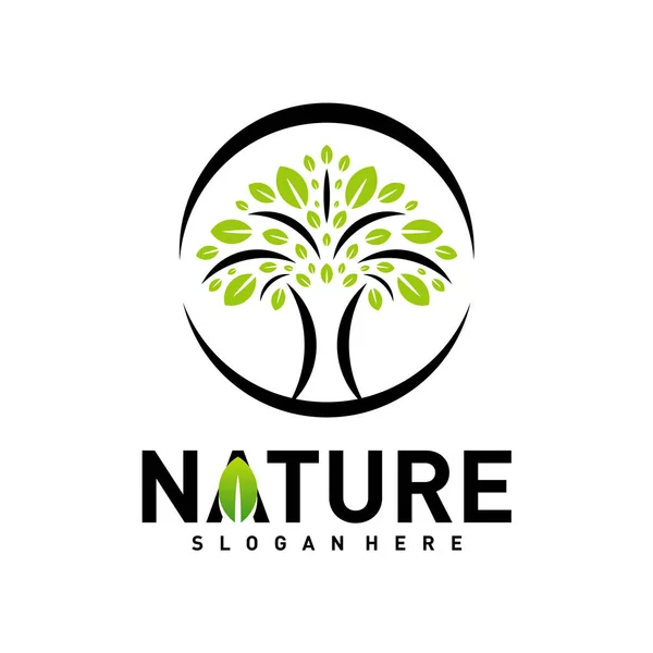 Nature Leaf Green Logo Σχεδιασμός Έννοιες. Διάνυσμα προτύπου λογότυπου περιβάλλοντος. Σύμβολο εικονιδίων — Διανυσματικό Αρχείο
