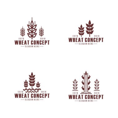 Modern Buğday logo şablonu seti. Birçok varyasyonlu logo buğdayını kavra.