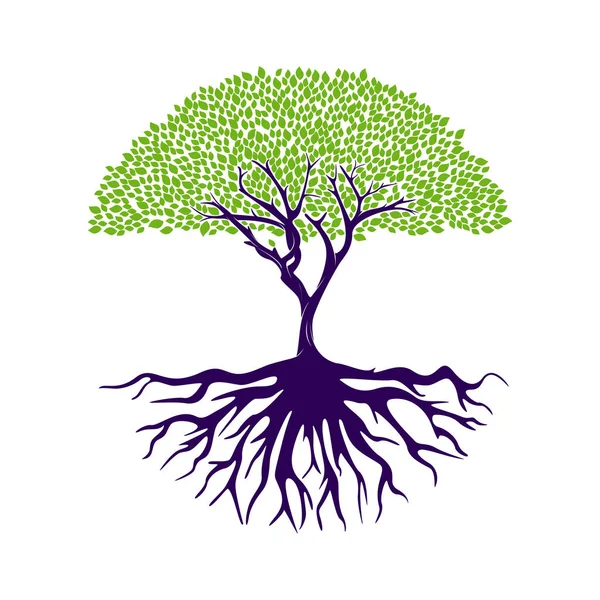 Plantilla de inspiración de diseño de logotipo de Tree of life. Diseño del logotipo del árbol vibrante abstracto. Vector raíz — Archivo Imágenes Vectoriales