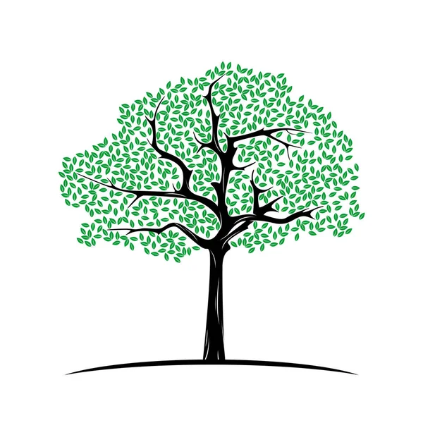 Mal for utforming av livslogoer. Abstrakt, vibrerende logodesign av trær. Rotvektor – stockvektor