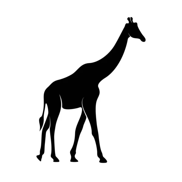 Jirafa Logo Vector. Ilustración de la plantilla de diseño de logotipo de jirafa animal — Vector de stock