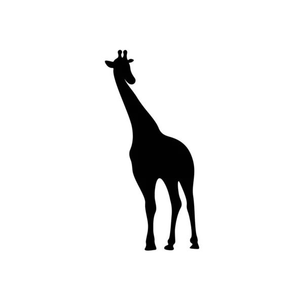 Vektor loga žirafy. Animální žirafa logo Design šablony Ilustrace — Stockový vektor