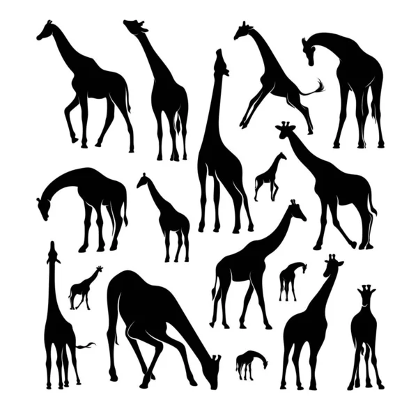 Sada Vektorů s logem žirafy. Animální žirafa logo Design šablony Ilustrace — Stockový vektor