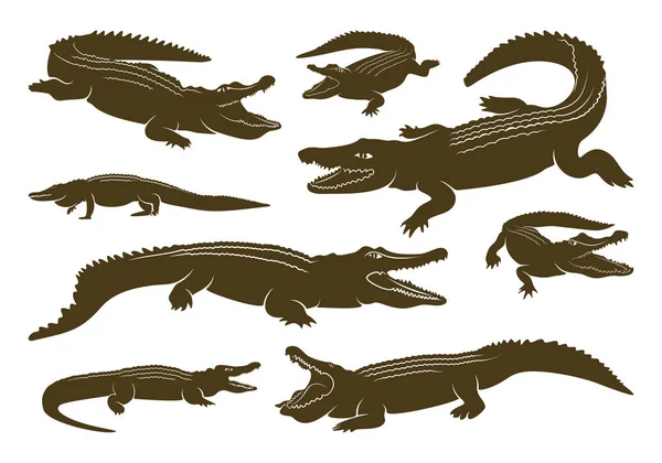 Zestaw Crocodile Logo Vector. Ilustracja emblematu aligatora — Wektor stockowy