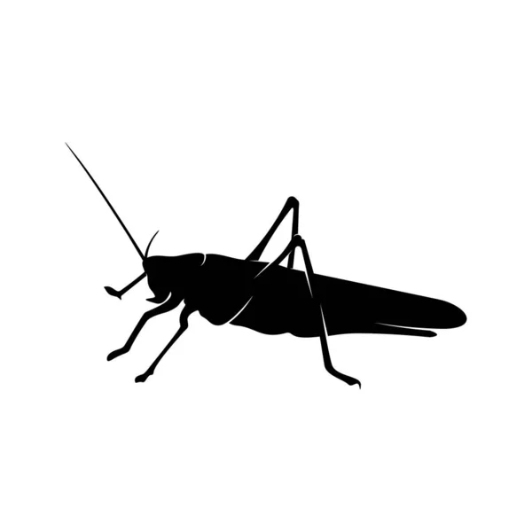 Grasshopper Logo Design Vector Illustration. Grasshopper Design Template — 스톡 벡터