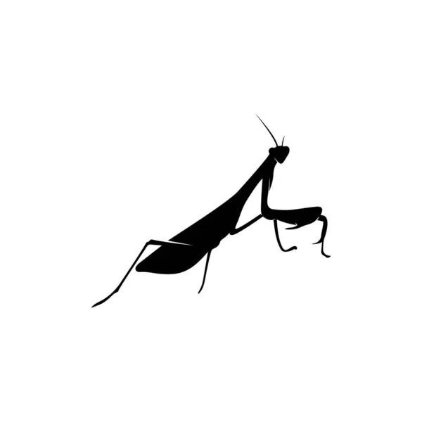 Grasshopper Logo Design Vector Illustration. Šablona designu kobylek — Stockový vektor