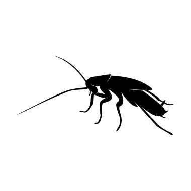 Hamamböceği Logosu Tasarım Vektörü İllüstrasyonu. Hamamböceği Tasarım Şablonu