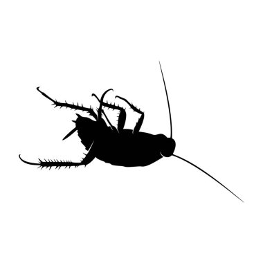 Hamamböceği Logosu Tasarım Vektörü İllüstrasyonu. Hamamböceği Tasarım Şablonu