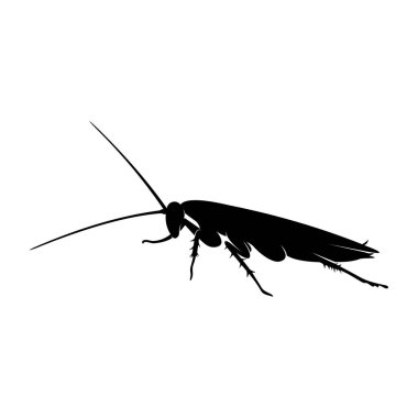 Hamamböceği Logosu Tasarım Vektörü İllüstrasyonu. Hamamböceği Tasarım Şablonu