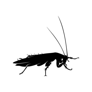 Hamamböceği Logosu Tasarım Vektörü İllüstrasyonu. Hamamböceği Tasarım Şablonu