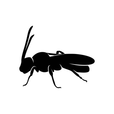 Arı logosu tasarım vektörü. Simge Sembolü. Şablon İllüstrasyonu