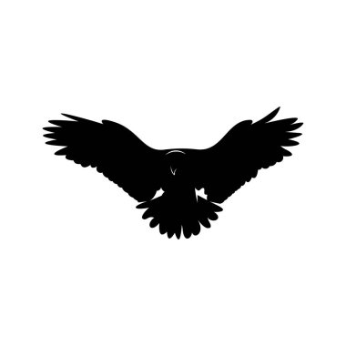 Kartal logosu tasarım vektörü. Kartal logo şablonu çizimi