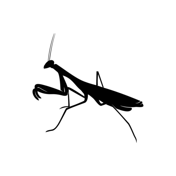 Grasshopper Logo Design Vector Illustratie. Grasshopper ontwerp sjabloon — Stockvector