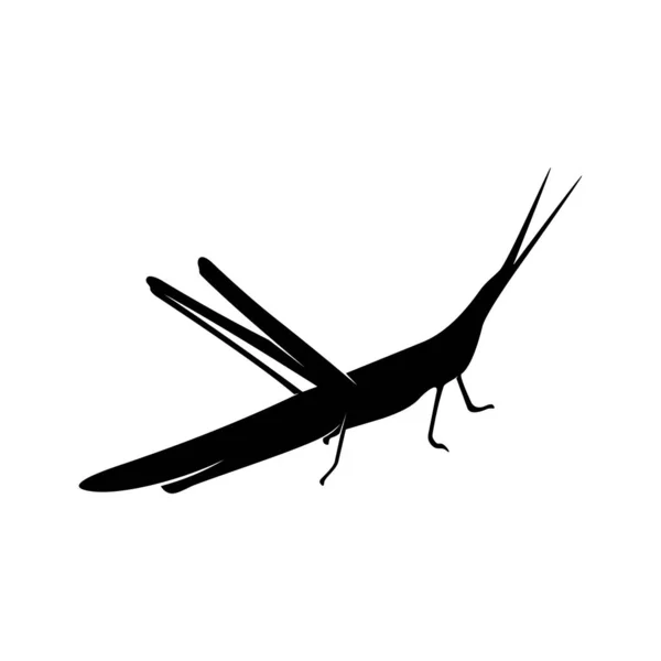 Grasshopper Logo Design Vector Illustration. Šablona designu kobylek — Stockový vektor