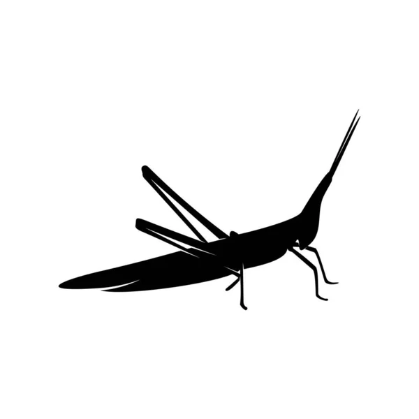 Вектор дизайна Grasshopper. Шаблон дизайна Grasshopper — стоковый вектор