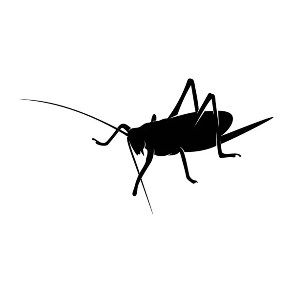 Grasshopper Logo Design Vector Illustration. Grasshopper Design Template — 스톡 벡터