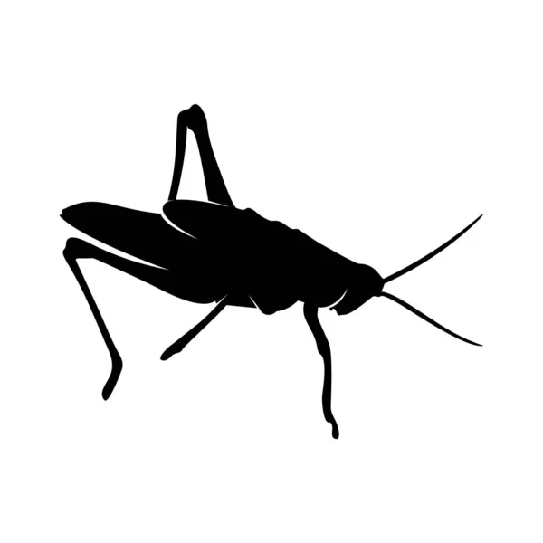 Вектор дизайна Grasshopper. Шаблон дизайна Grasshopper — стоковый вектор