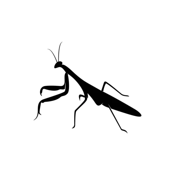 Grasshopper Logo Design Vector Illustratie. Grasshopper ontwerp sjabloon — Stockvector