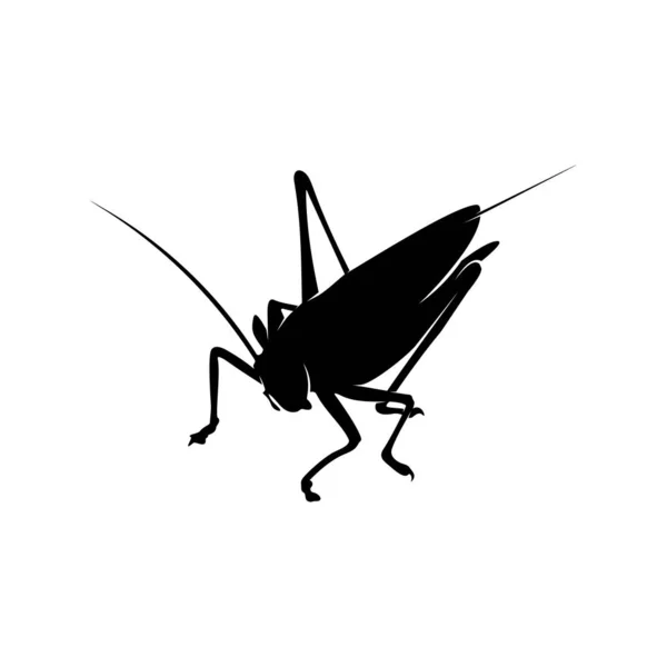 Grasshopper Logo Design Vector Illustratie. Grasshopper ontwerp sjabloon — Stockvector