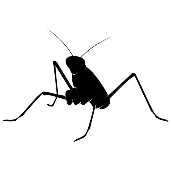 Grasshopper Λογότυπο Σχεδιασμός Διάνυσμα Εικονογράφηση. Πρότυπο σχεδίασης ακριδών — Διανυσματικό Αρχείο