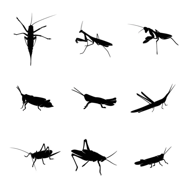 Grasshopperロゴデザインベクトルイラストのセット。Grasshopperデザインテンプレート — ストックベクタ